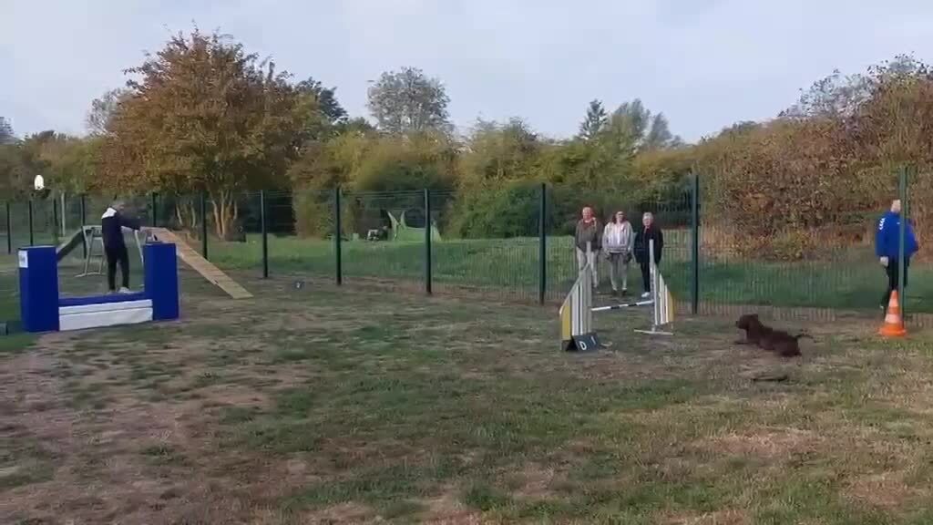 PASS AGILITY
